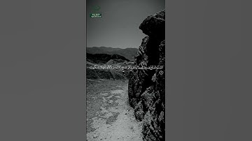 سورة السجدة • مكية • بصوت ياسر الدوسري | عدد الآيات: 30 #قرآن #Quran #تلاوة #قرآن_كريم #السجدة