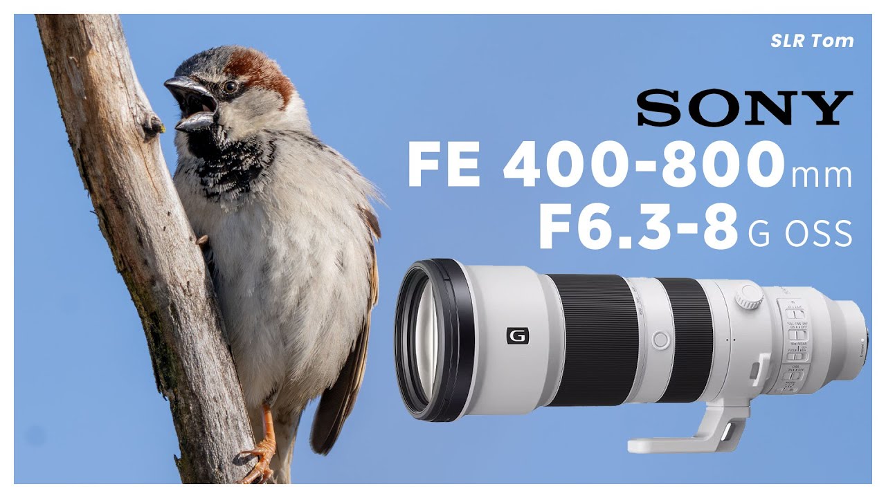 Thoughts and Feedback on Sony 400-800mm F6.3-8 G OSS Lens