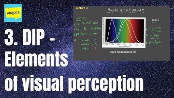 3. Elements of visual perception | DIP | LearnDIYPhysics