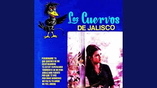 Video thumbnail of "Los cuervos de Jalisco - Perdóname ya"