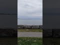 Торонто