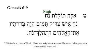 Genesis 6 -- Hebrew Bible Speaker video with English Captions screenshot 5