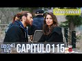 Pájaro soñador - Capitulo 115 (Audio Español) | Erkenci Kuş