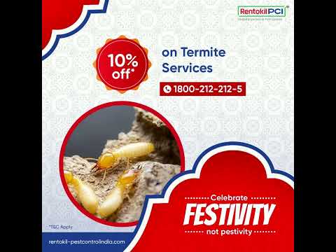 Celebrate Festivity, Not Pestivity