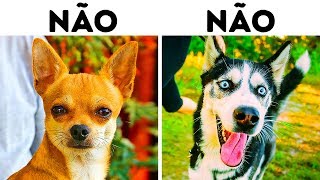 10 Raças de Cães Perigosas para Famílias com Crianças