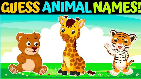 Guess the Animal by Its Shadow!