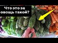 12. Индийский рынок с необычными ов