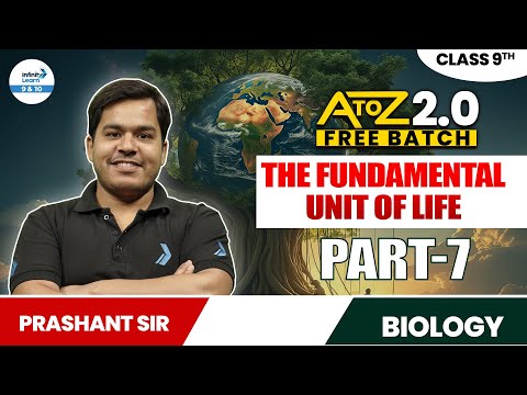The Fundamental Unit