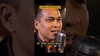 The river keeps its patient song... 🌊🍃