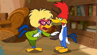 Woody's Mom Comes to Visit | Woody Woodpecker | 1 Hour Compilation