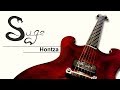 Suge guitars hontza      dmo officielle