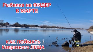 Рыбалка на ФИДЕР в МАРТЕ на РЕКЕ / Открытие СЕЗОНА 2023