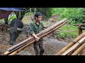 FULL VIDEO 100 days alone building a farm in the forest