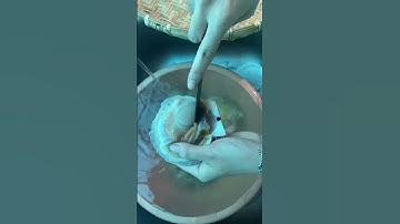 Sơ chế sò điệp nhật #food