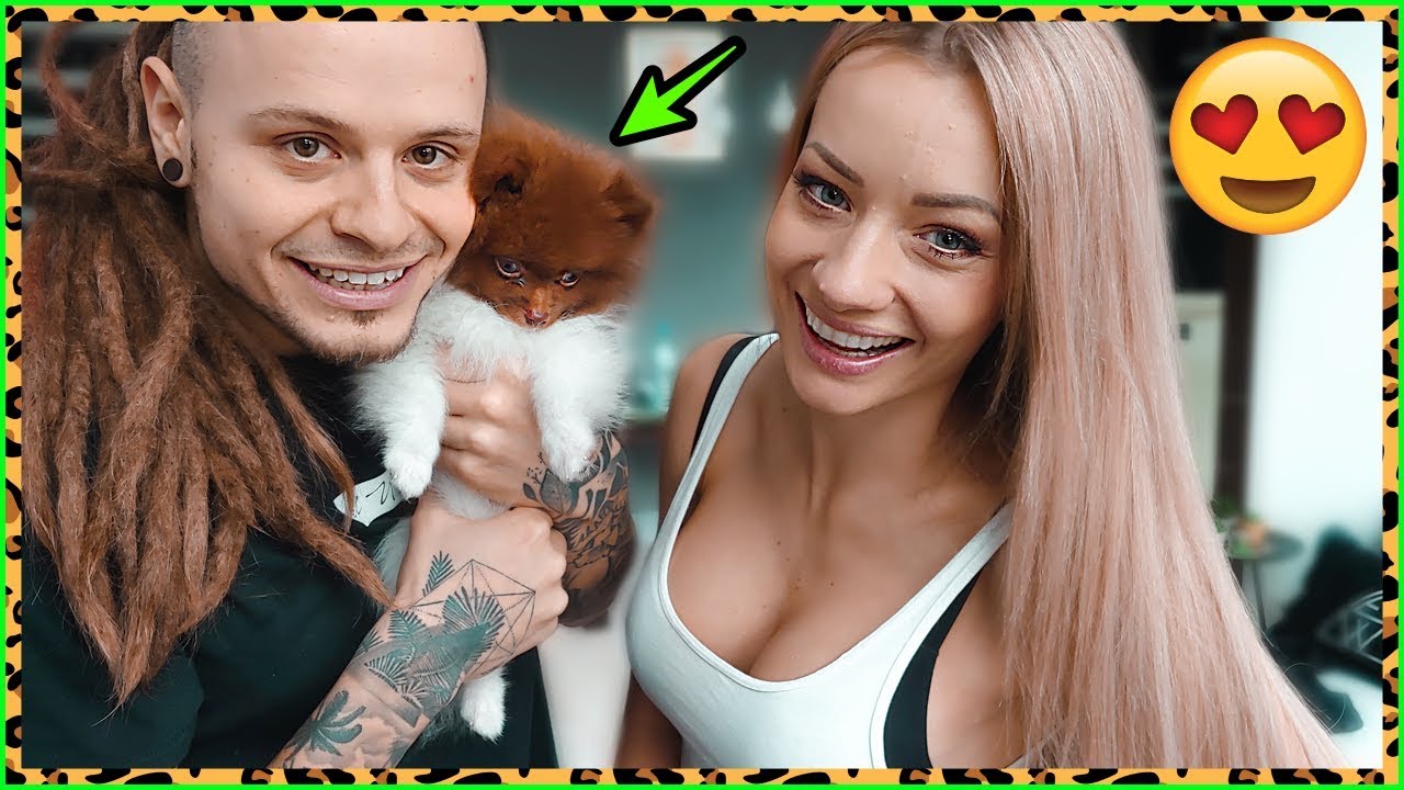 Jakiej Rasy Jest Pies Fit Lovers MAMY PIESKA !!!!!!!!! 😍🐻.vlog - YouTube