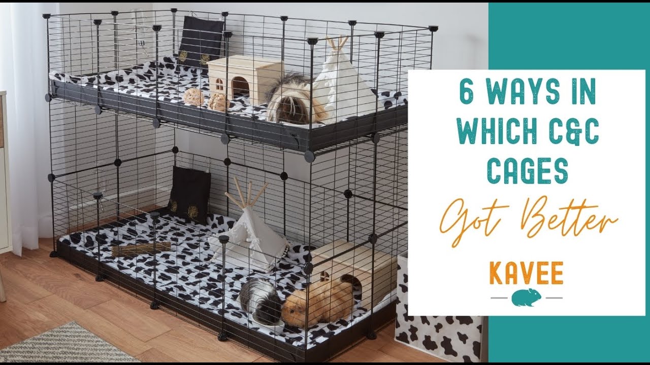 Build a Guinea Pig Cage With Cubes and Corrugated Plastic (C&C