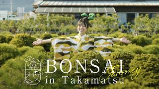 Discover Japan’s Secret Living Art City: Takamatsu Bonsai Journey(日本の隠れた絶景をめぐる:高松盆栽ジャーニー)