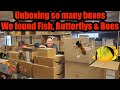 Unboxing All these boxes and I found Fish, Butterflies, and Bees it is super fun! Mystery boxes