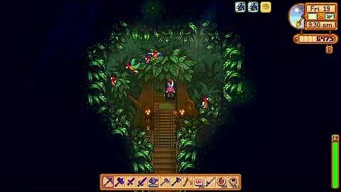 Stardew Valley:  How to get tips for Golden Walnut locations when you can't find any