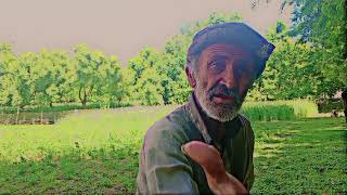 kasht kari  at village Gobarr process at summer season Heard working people's of Gilgit Baltistan