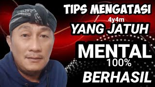 TIPS MENGATASI AYAM YANG JATUH MENTAL