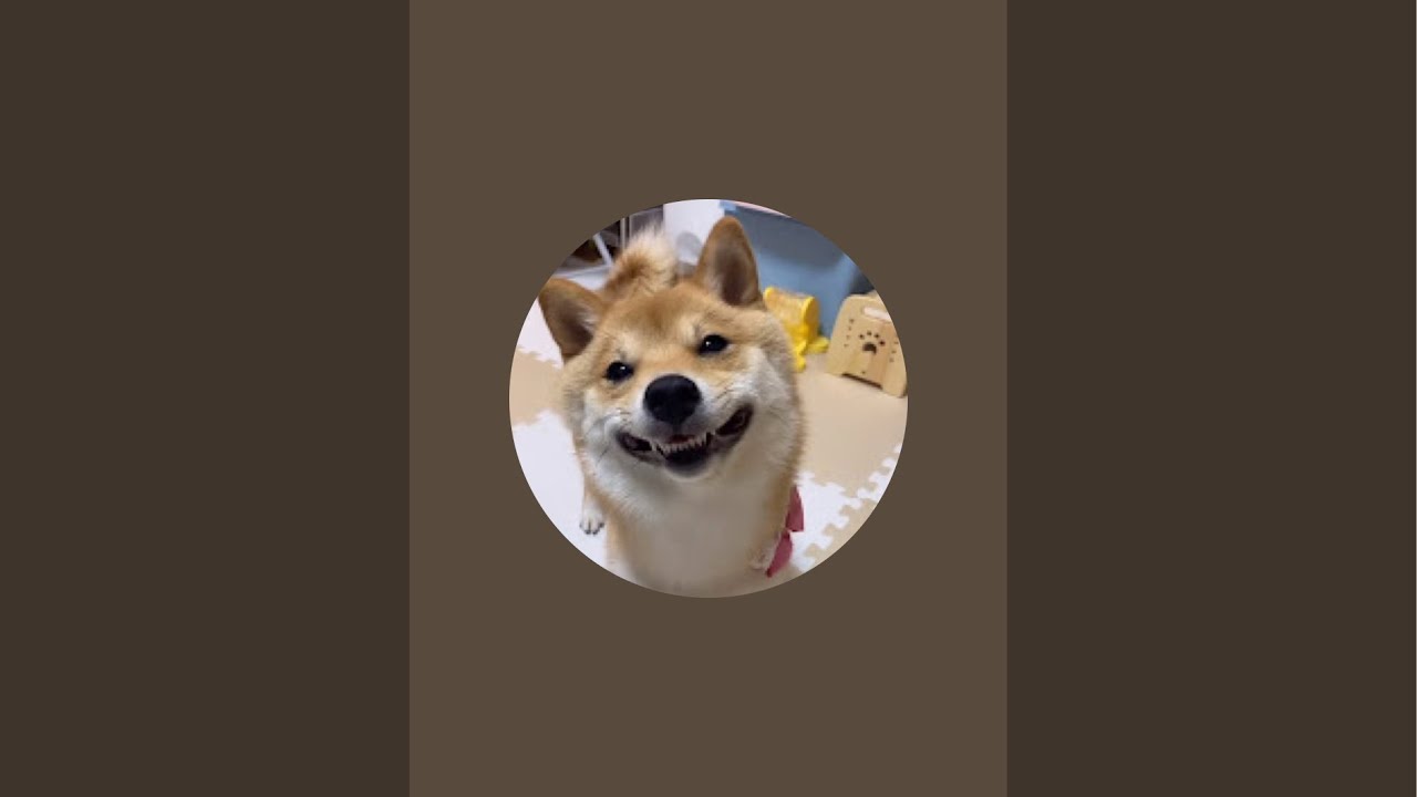 3歳になりました!🥖🎂