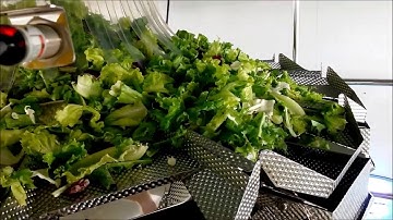 Actionpac Combination Scale multi109 | Salad Weigher | High Speed Scales | ccw weigher | multihead