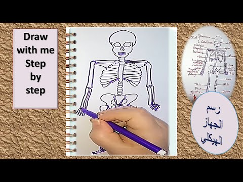 كيف ترسم هيكل عظمي للأنسان؟ how  to draw human skeleton easily