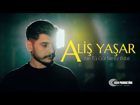 Aliş Yaşar - Ne Tu Gul Ne Ez Bilbil - 2024 Official Klip