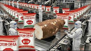 Inside the Giant Ajinomoto Factory | How MSG Is Really Made from Cassava (Full Process)