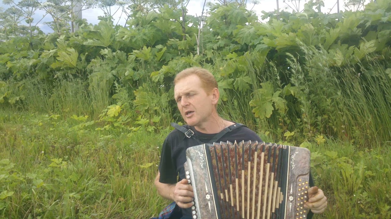 Песня группы ДДТ "Капитан Колесников" под гармонь - YouTube