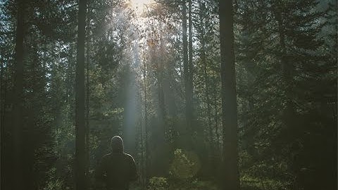 EmberJs: A Deep dive into EmberJS Routes and the Routing Lifecycle