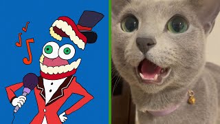 The Amazing Digital Circus | Try Not to Laugh | Cat Memes