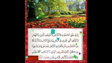 سورة البقرة الآية ( 164 )