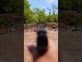 Budget Affordable SRO Red Dot