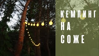картинка: Кемпинг на реке Сож. Выходные с ночевкой в палатках.