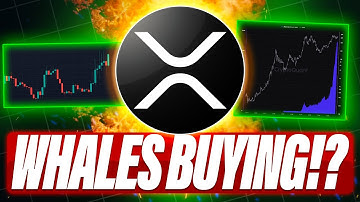WHALES ARE LOADING UP ON XRP - SOL PRICE VS XRP PRICE - 20 XRP ETFs ARE COMING BUT WHEN?