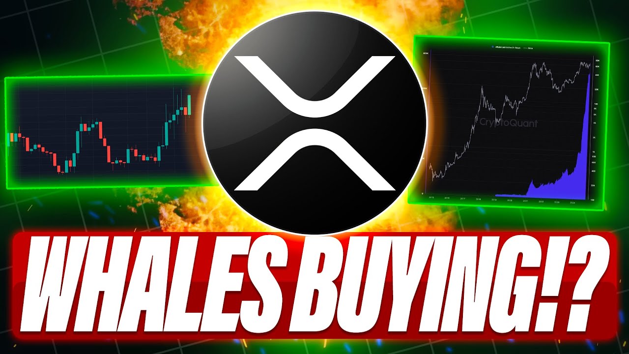 Analysts Forecast XRP to Surge Past $10, Backed by Elliott Wave Pattern and  Rising ETF Inflows - Pintu News