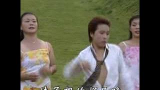 现打斑鸠现钳毛