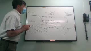 biology of ,mental ; disorders and addiction  N128 Prof Mangino