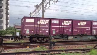 81レ EF64 1037+EF64 1017
