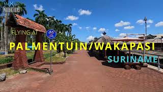 Palmentuin Wakapasi