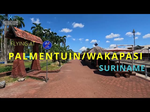 Palmentuin Wakapasi