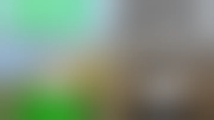 Why you don't like Rust 𝗔𝗡𝗬𝗠𝗢𝗥𝗘