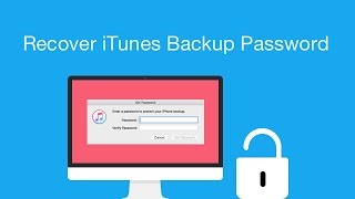 Recover iTunes Backup Password in Minute. Quick & Easy!