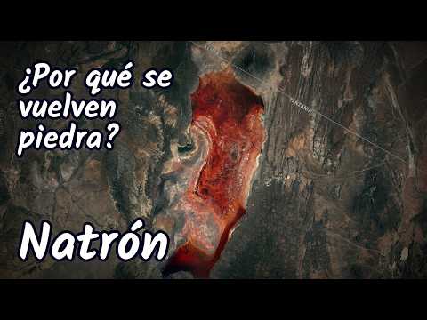 The Lake That Turns Animals Into Stone, and It’s No Legend | Natron