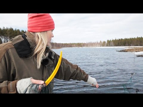 Video: Kuinka Kalastaa Verkolla