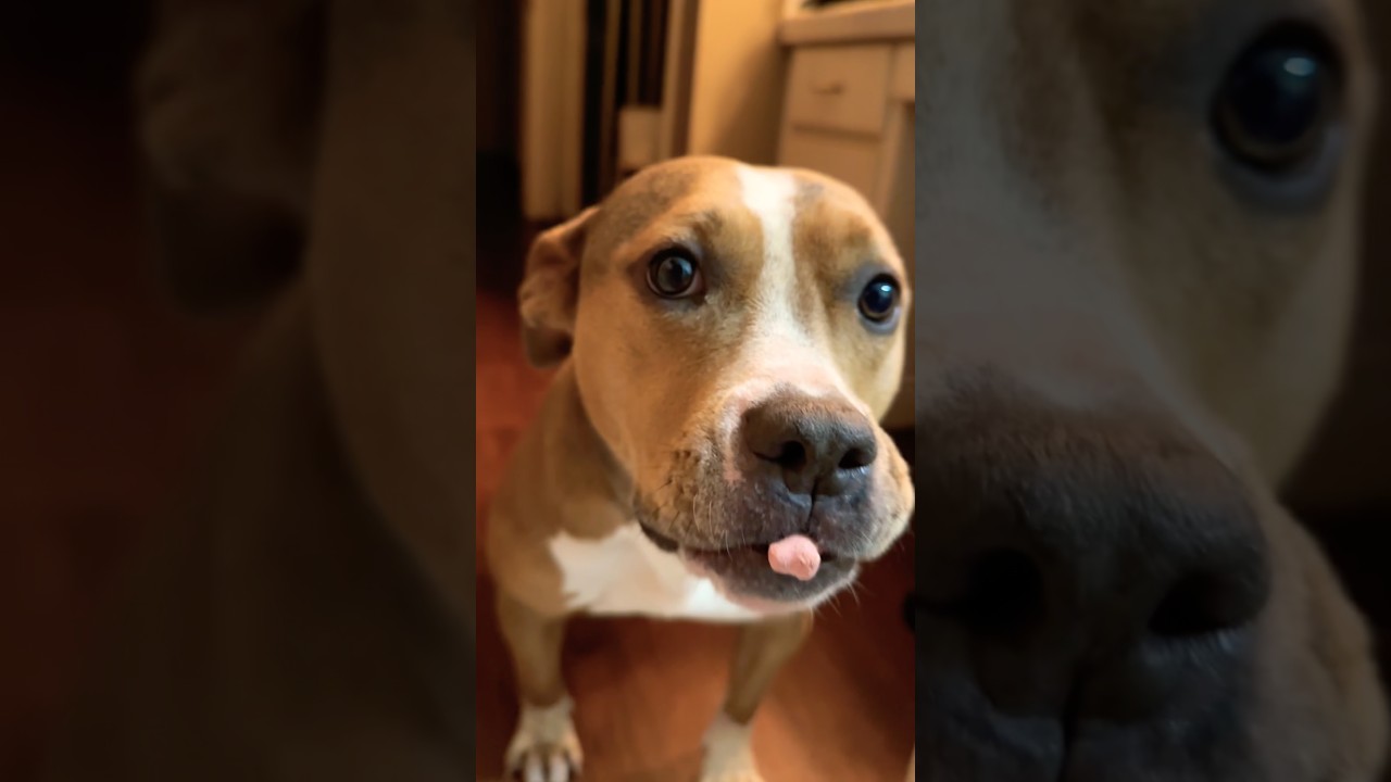 Elsie gets a treat!