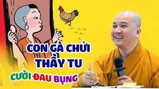 Cười đau bụng: CON GÀ CHỬI THẦY TU - Thầy Thích Pháp Hòa (kể chuyện vui quá)