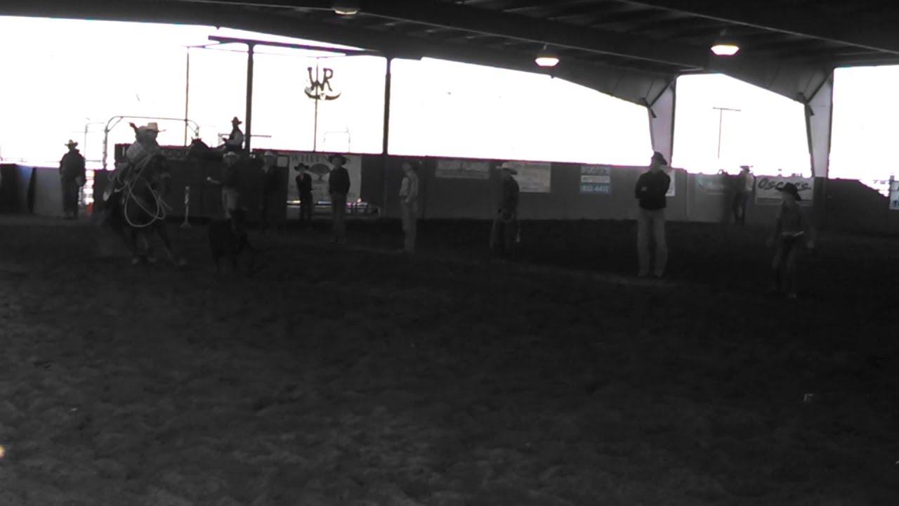 Ribbon roping 1/20/13 YouTube
